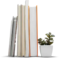 Audio Book servcies by Loom Publishers